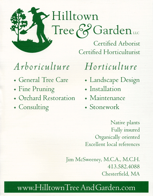 Positronic Design Portfolio - Hilltown Tree & Garden Flyer