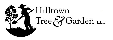 Positronic Design Portfolio - Hilltown Tree & Garden Logo